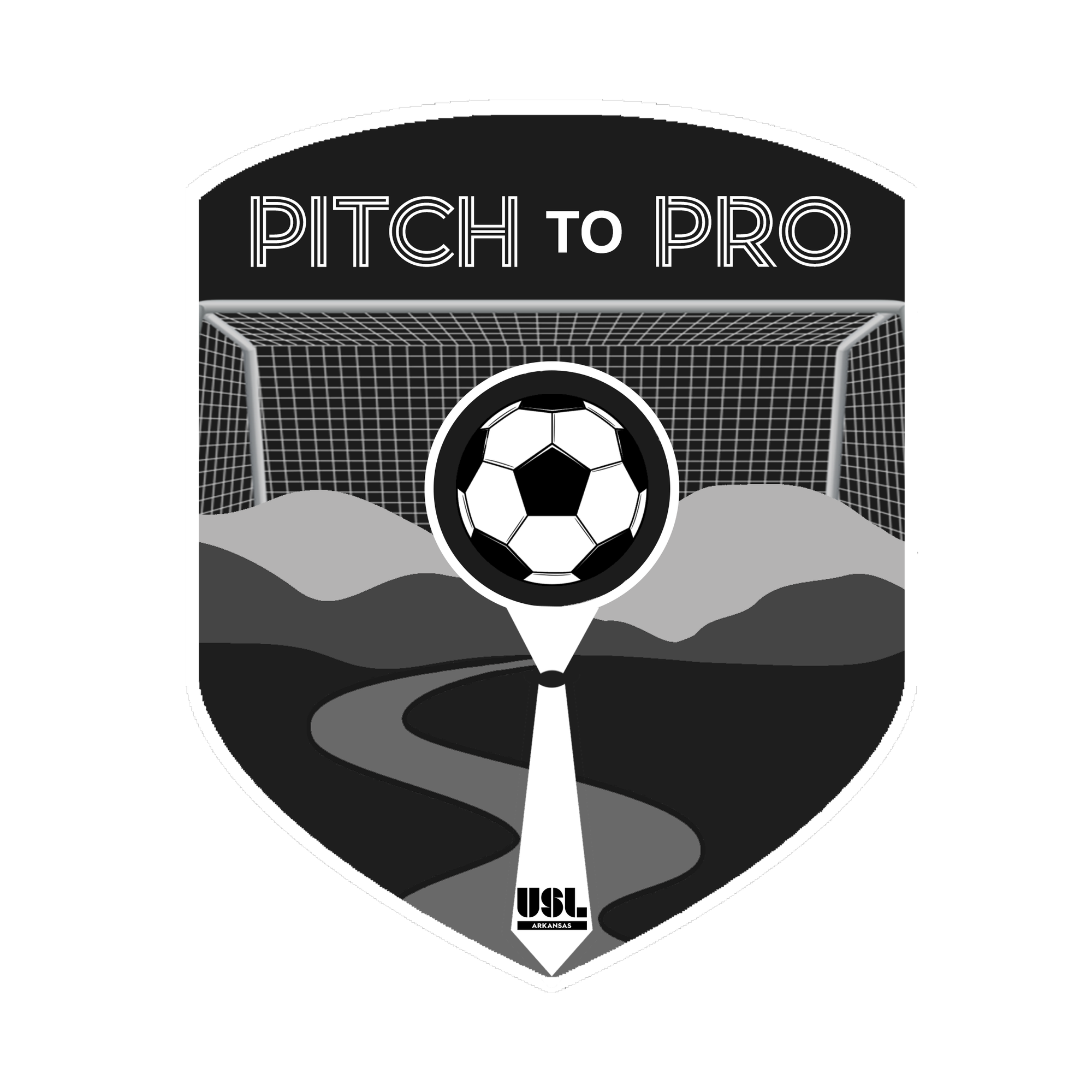 Pitch to Pro